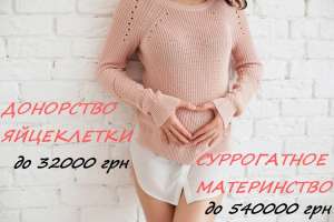 ��������� ������������ ����������� (�� 540000 ���) � ��������� ���������� (�� 32000 ���) � ����� - ����������� 1