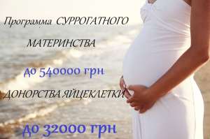 ��������� ������������ ����������� ������ 2019 - ����������� 1