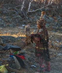 ��������� - �������������, ������ ��������, �� �����������, ������ �� �������/������� ����������������� � ������ �������������� - ����������� 1