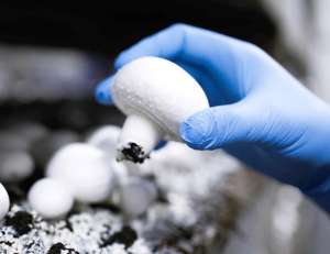 ���������� � ������ �� ������ � ����������� �������� ���������� - ����������� 1