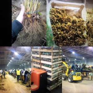 ���������� �� ������ � ������. ���������� �������� �������� - ����������� 1