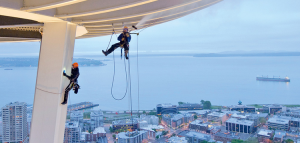 ���������� �� ������ ����� ���������. ������������ ���������. - ����������� 1