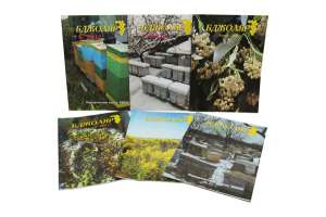 ���������� �� ������������ � ���������� - ����������� 1