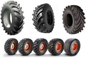 ���������� ����. ���� �� ���������. ������� ����. - ����������� 1