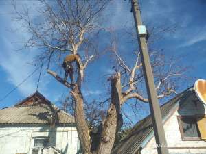 ���������� ���� ����� � ���. - ����������� 1