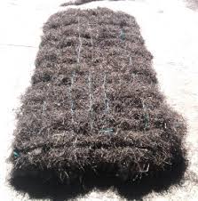 ���������� "�����" 2*1 � ������� 20 �� - ����������� 1