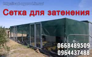 ���������� �����, ����� ����������� � ������� ����! - ����������� 1