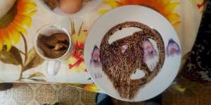 ���������� ������ �����. ����� ����� �����. - ����������� 1