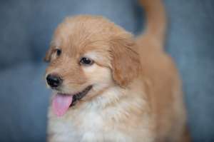 ���������� ������ ������ �������� - ����������� 1