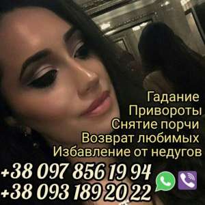 ���������� ������. ������� �����������. - ����������� 1