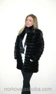 ���������� ������ �������� ���� - ��������� - ����������� 1