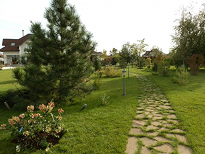 ���������� ������: �������� ����� � ��������. �������� ����. - ����������� 1