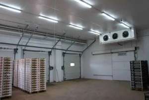 ���������� ������ ��������� ��������� ���� (������������ �� ����) - ����������� 1