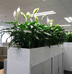 ���������� ������, ����������, ������� � ��. ���������!!! - ����������� 1