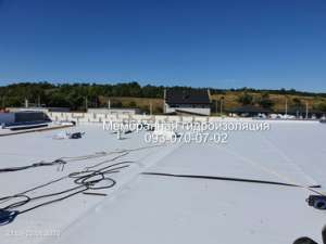 ���������� ������ ����������� - ����������� 1