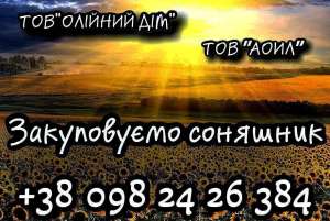 ���������� �������� - ����������� 1