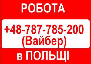 ����������. �������� ������ � ������ ��� ������ֲ� 2019 - ����������� 1