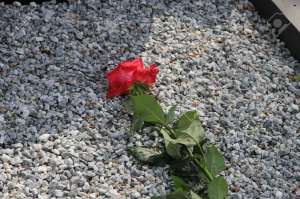 ���������� ��������� - ����������� 1