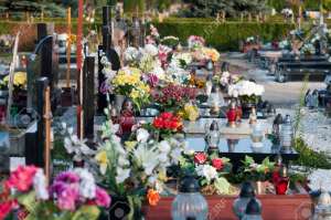 ���������� ��������� - ����������� 1