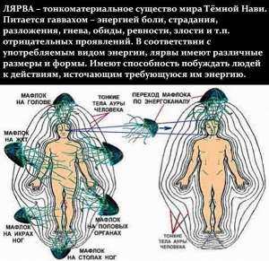 ���������� ����������� �� ���������� ����������, ����, ����� � �������� - ����������� 1