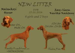 ���������� �������(�����)����� - ����������� 1