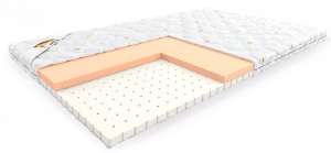 ����������� Elastic �������� � ������� - ����������� 1