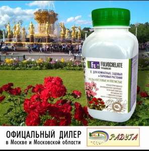 ����������� ��� ��� � ��������������� � �������� ����� 250 �� - ����������� 1