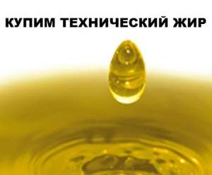 ����������� ���. ����� ������� ���, �������, ��������� �����. - ����������� 1