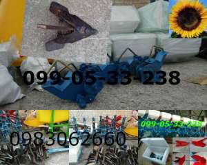 ����������� ���/ ������ ���/ ������� ���� ����������� / ������ - ����������� 1