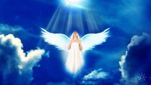 ����������� ����. ������ �� 7 ������ ������� ��� ���� ���� ����� �����. - ����������� 1