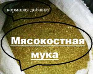 ����������� ���� ������, �������� �������. - ����������� 1