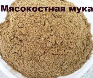 ����������� ���� - �������� �������. - ����������� 1