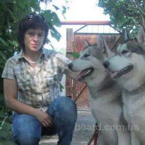 ����������� �����, ����� �����. ������� �. �����. - ����������� 1