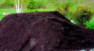 ����������� ����� ������ ����������� � ������ ������ ����������� ���� � PisokMarket ������� ����� - ����������� 1