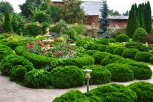 ����������� ������ �� �Green Angels�. ����������. - ����������� 1