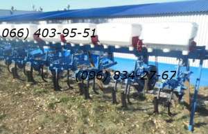 ����������� ����(�� �����������) � ��������� ������� ���� - ����������� 1