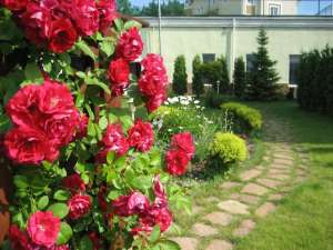 ����������� ������: ��������������, ����������, ��������������� - ����������� 1