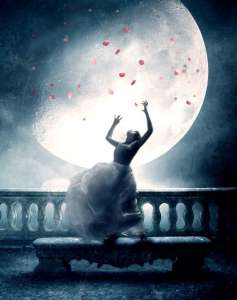 ����������� ������. ���������������� ������ �����������. ������ �����, ������. - ����������� 1