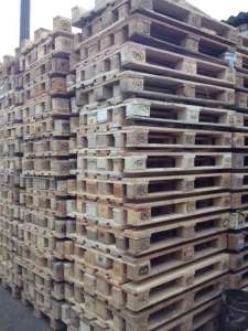 �����������, ������� 1200�800. ���������� �����������. - ����������� 1