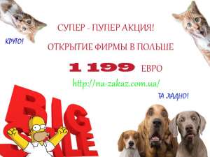 ����������� ������� � ������. ����� ������ ���� - ����������� 1