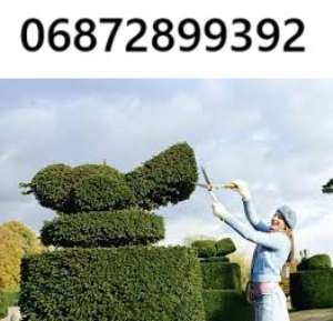 ����������� ������� ��� � ������ ���� �������� �����! - ����������� 1