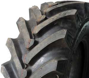 �����������, �������� �� �����������, �������� ����. - ����������� 1