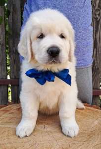 ����������� �������� �������� Ot Bahur - ����������� 1