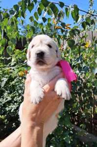 ����������� �������� �������� Ot Bahur - ����������� 1