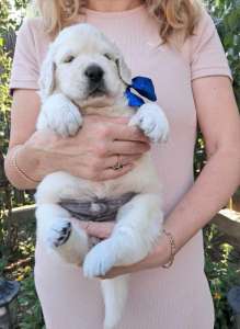 ����������� �������� �������� Ot Bahur - ����������� 1