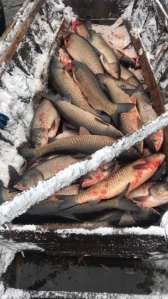 ����������� ��������� ����! ���! - ����������� 1