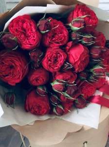 ����������� ���������� - ����������� 1