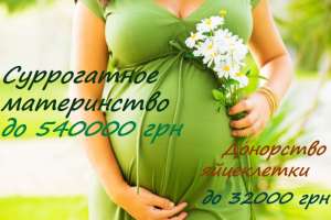 ����������� ����������� �� 540000 ��� � ��������� ���������� �� 32000 ���, ������ - ����������� 1