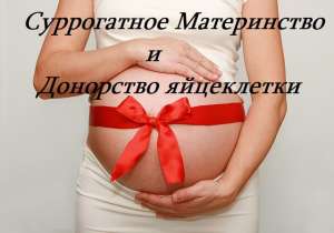 ����������� ����������� �� 540000 ���, �������. ����� ���������� ��������� - ����������� 1