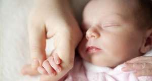 ����������� ����������� (�������) - ����������� 1